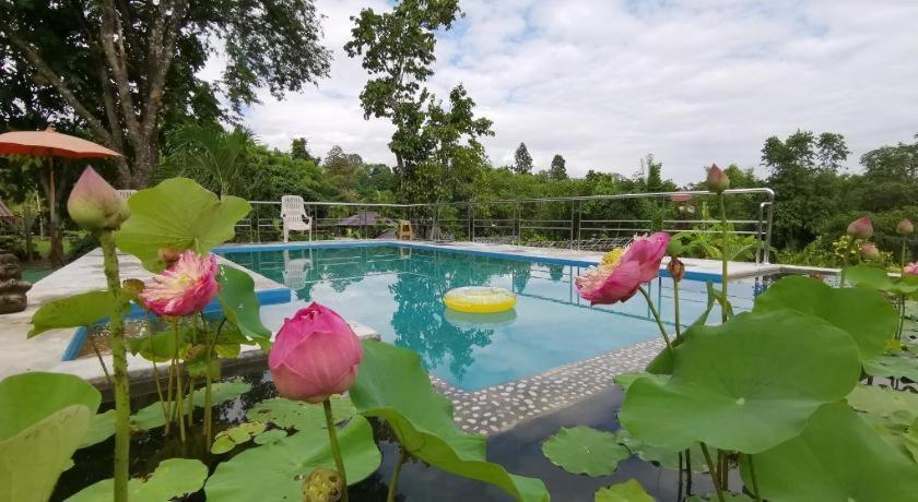 Ban Rai Tin Thai Ngarm Eco Lodge Mae Rim Eksteriør billede